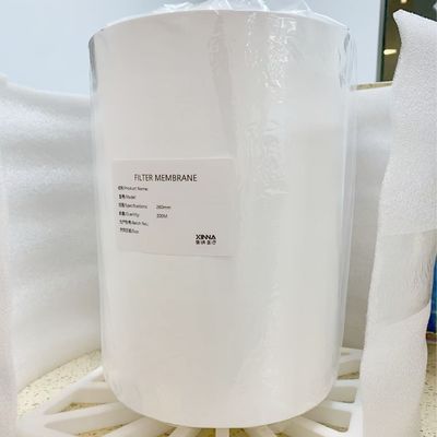 0.45μm PTFE Medical-grade Filter for Biological Indicator Container Vents