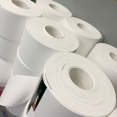 Kalite  0.1µM - 5µM Pore Size Nylon (Polyamide) Membrane Filter Circles Fabrika